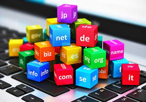 Domain Registration